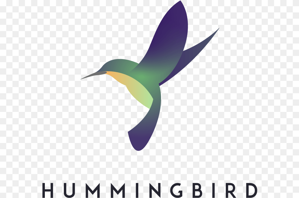 Hummingbird Associates Logo Ruby Throated Hummingbird, Animal, Bird, Flying, Bee Eater Free Png Download