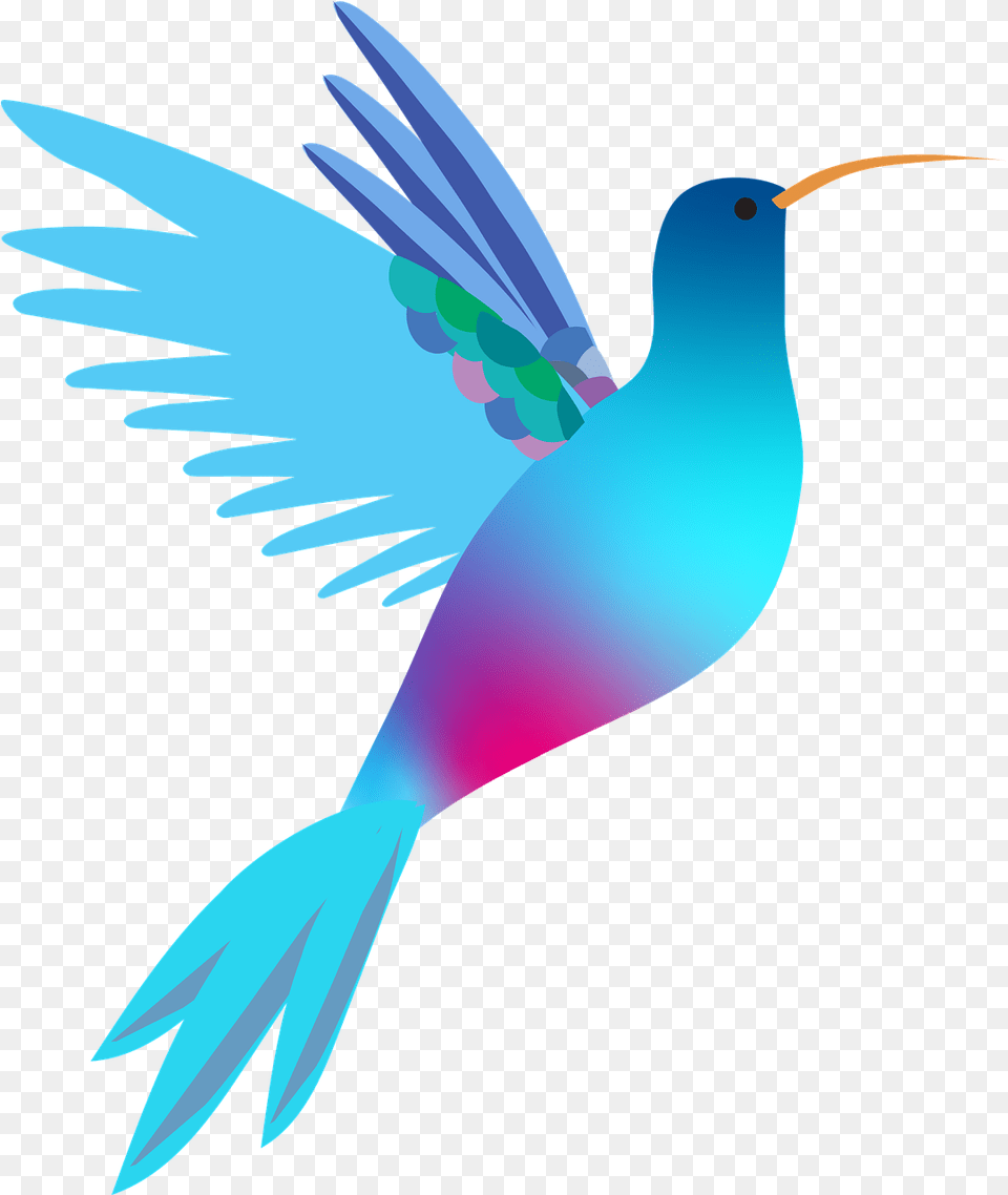 Hummingbird Bird Wedding Mothers Free Vector Graphic On Hummingbird, Animal Png