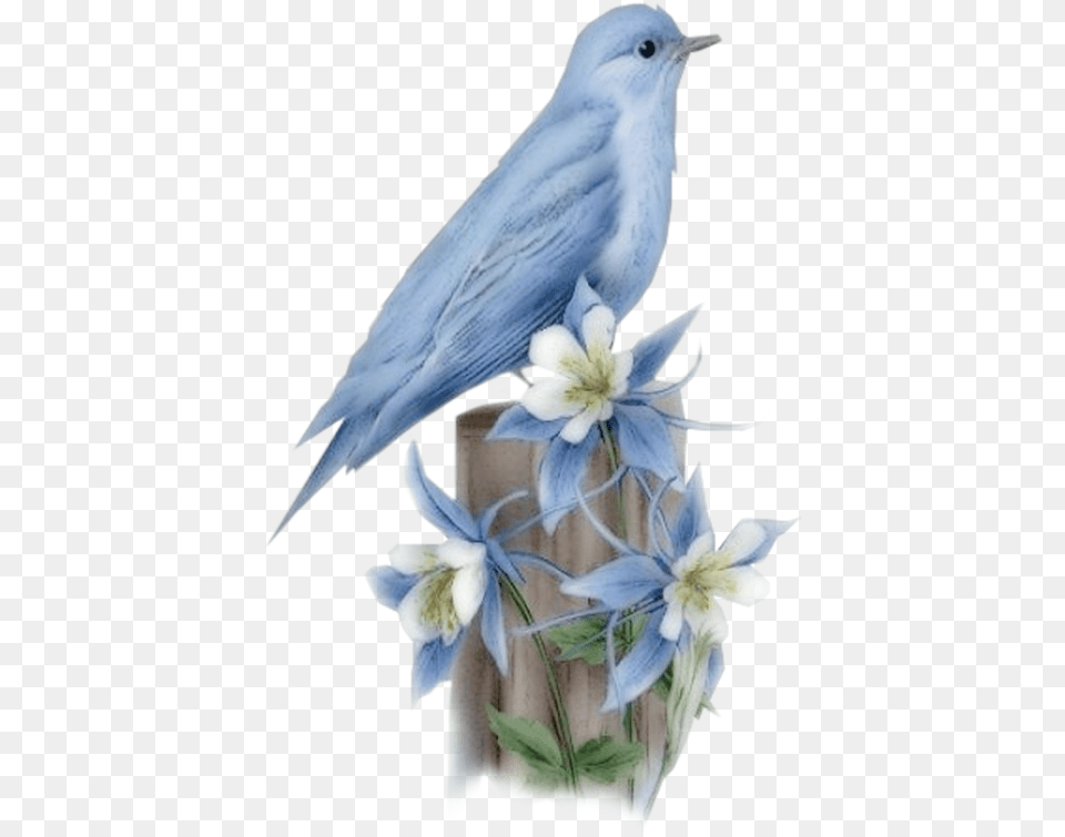 Hummingbird Bluebird Of Happiness Bird, Animal, Jay, Art, Porcelain Free Png Download