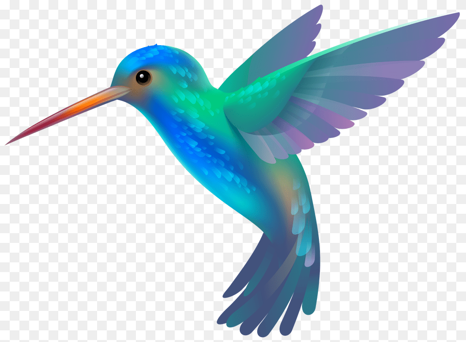 Hummingbird Clip Art, Animal, Bird Png