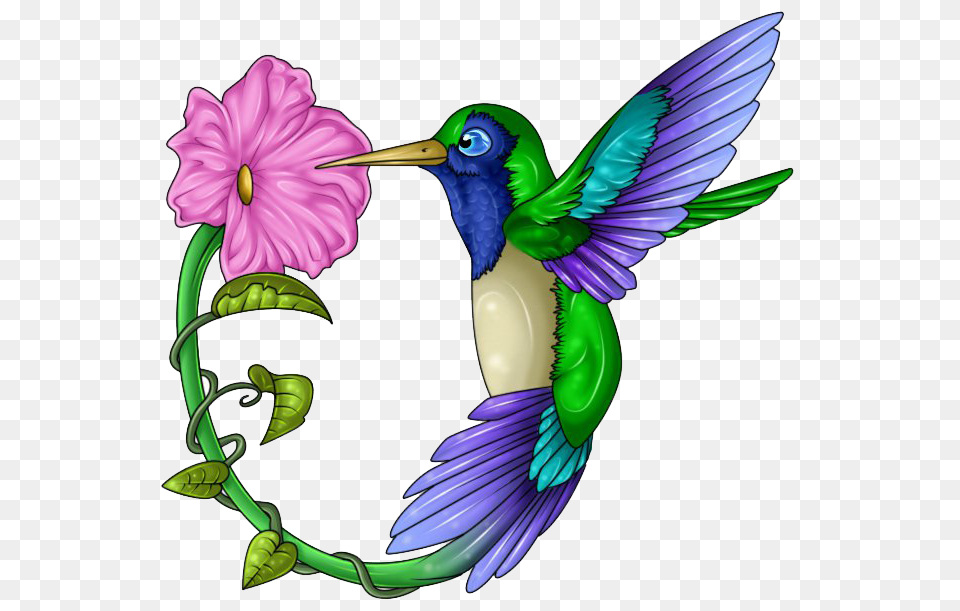 Hummingbird Clip Art Hummingbird Clip Art Stock Huge, Animal, Bird, Flower, Plant Free Png