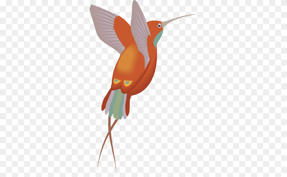 Hummingbird Clip Art Image, Animal, Bird Free Png Download