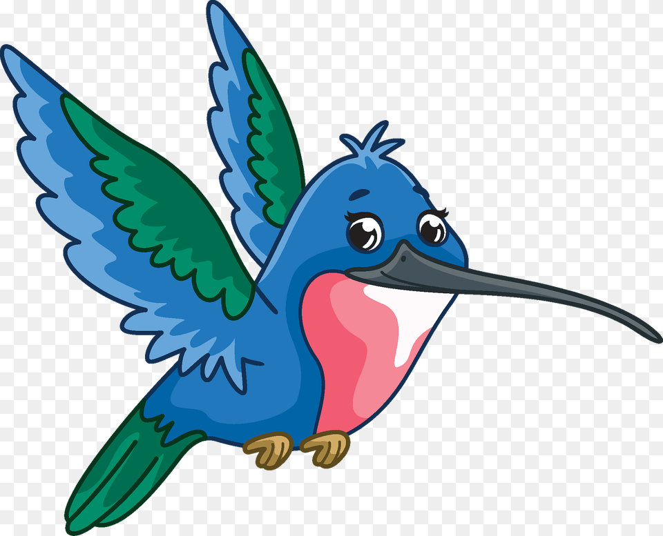 Hummingbird Clipart, Animal, Beak, Bird, Fish Png