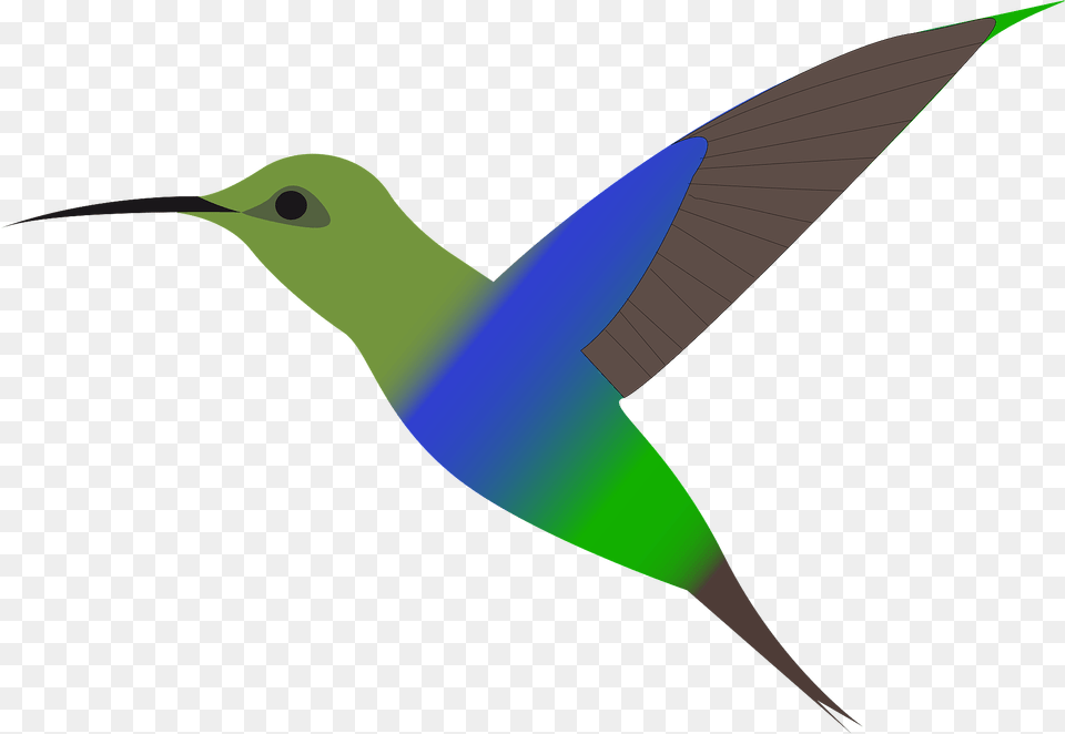 Hummingbird Clipart, Animal, Beak, Bird, Bee Eater Png