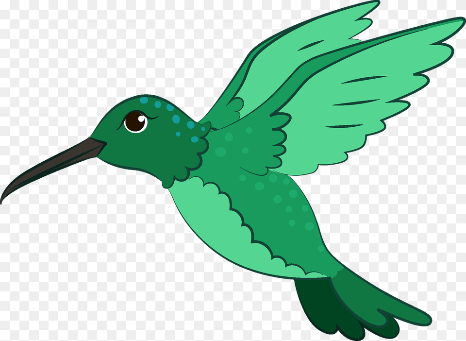 Hummingbird Clipart, Animal, Beak, Bird, Fish Free Transparent Png