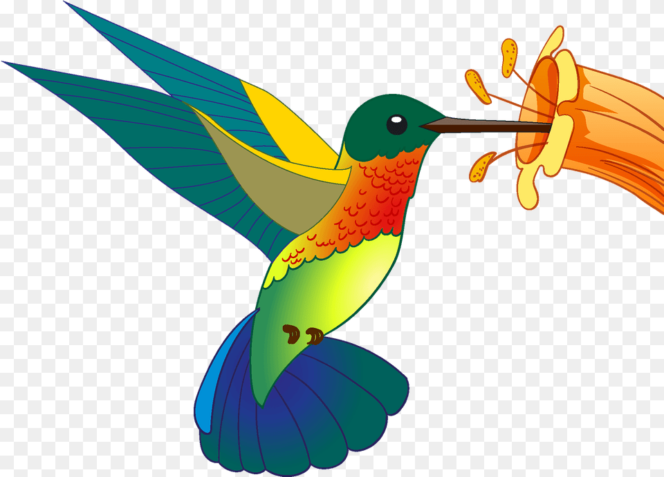 Hummingbird Clipart, Animal, Beak, Bird, Fish Free Png Download