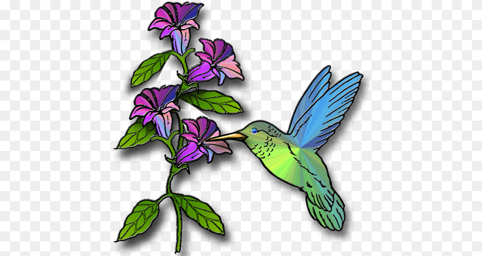Hummingbird Clipart 3 Clipartix Hummingbird With Flowers Clipart, Purple, Animal, Bird, Flower Free Transparent Png