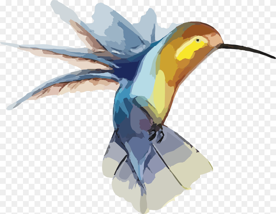 Hummingbird Clipart, Animal, Bird, Flying, Beak Free Png Download