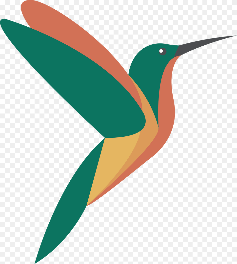 Hummingbird Clipart, Animal, Bird, Fish, Sea Life Png Image