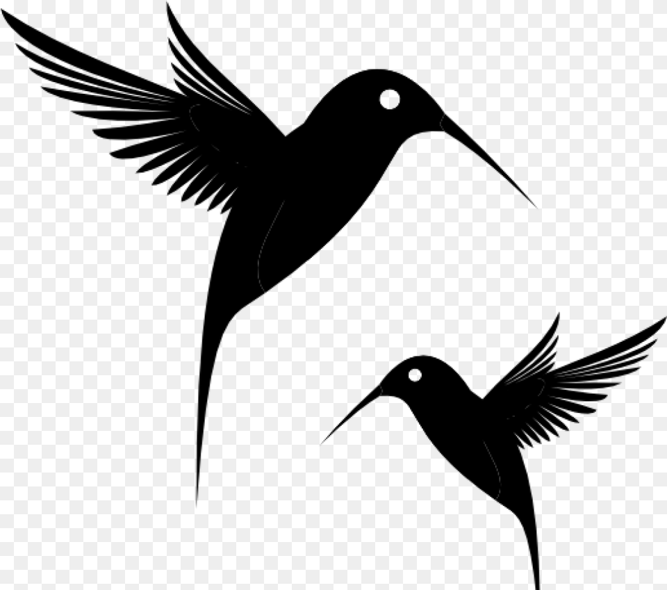 Hummingbird Clipart Black Humming Bird Clip Art At Black Hummingbird Svg, Gray Png