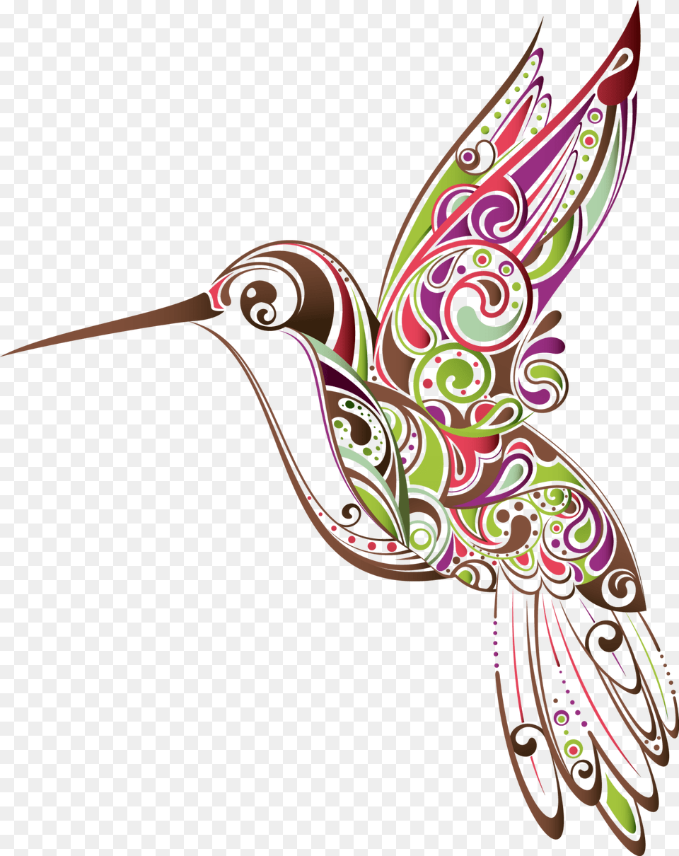 Hummingbird Clipart Colourful, Animal, Bird Png Image