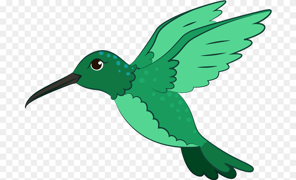 Hummingbird Clipart Creazilla Illustration, Animal, Beak, Bird, Baby Free Png Download