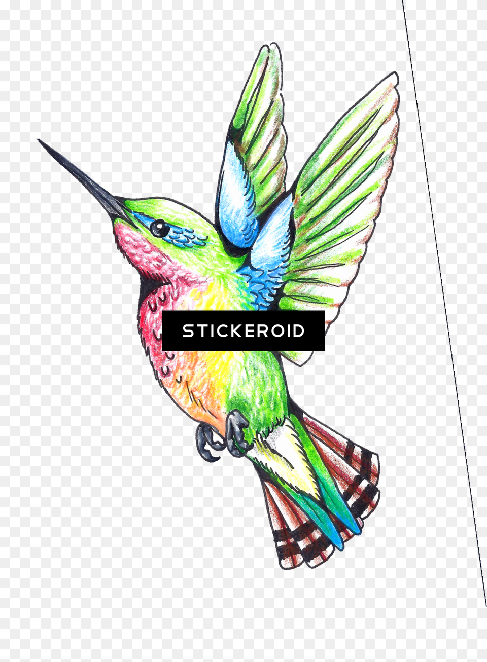 Hummingbird Clipart Download Humming Bird Clip Art, Animal, Bee Eater Free Png