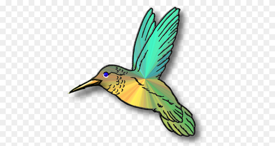 Hummingbird Clipart Easter Basket, Animal, Beak, Bird, Person Free Transparent Png
