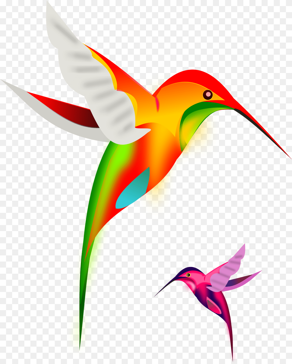 Hummingbird Clipart Animal, Bird, Flying Free Transparent Png