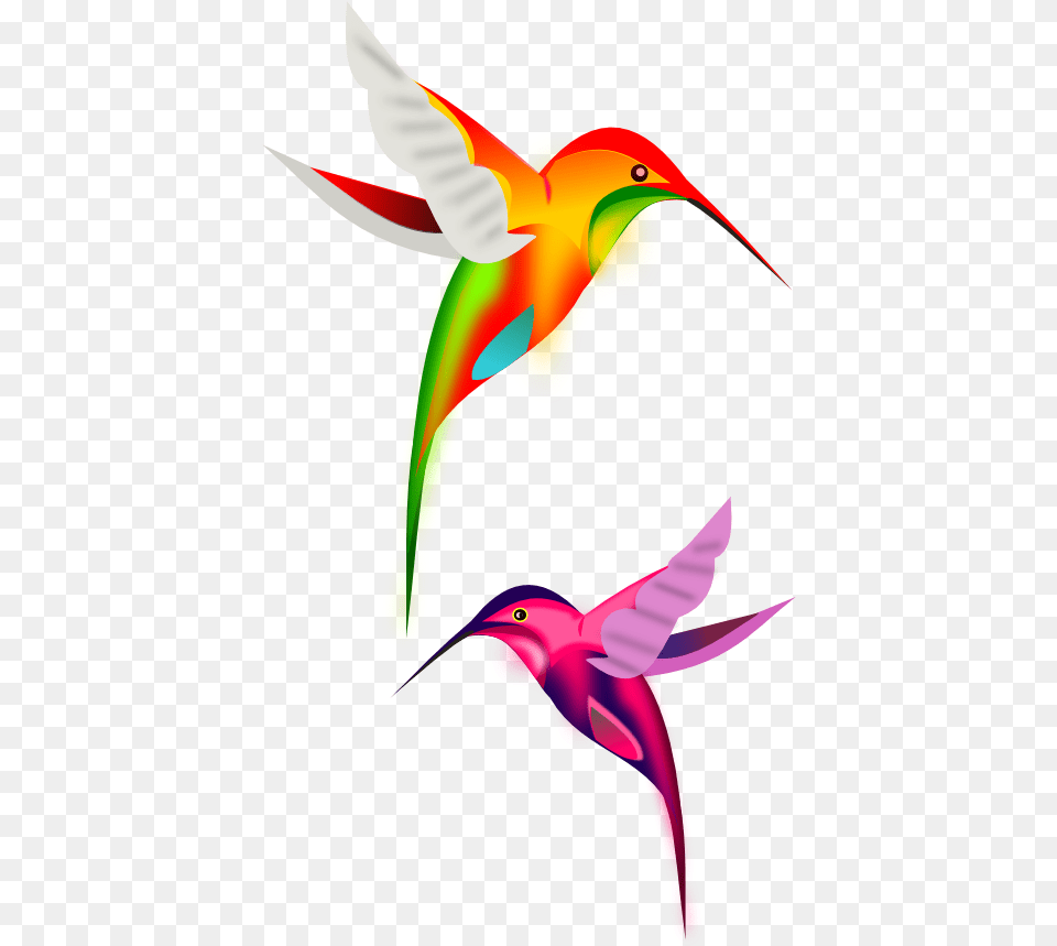 Hummingbird Clipart Transparent Background Colorful Birds Flying Cartoon, Animal, Bird Png Image