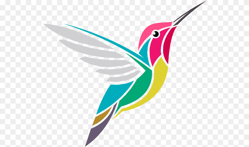 Hummingbird Colibri Dibujo, Animal, Bird, Fish, Sea Life Free Png Download