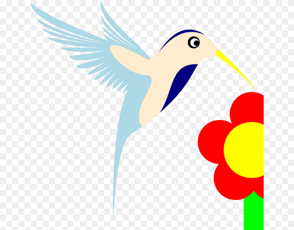 Hummingbird Computer Icons Beak, Animal, Bird Free Transparent Png