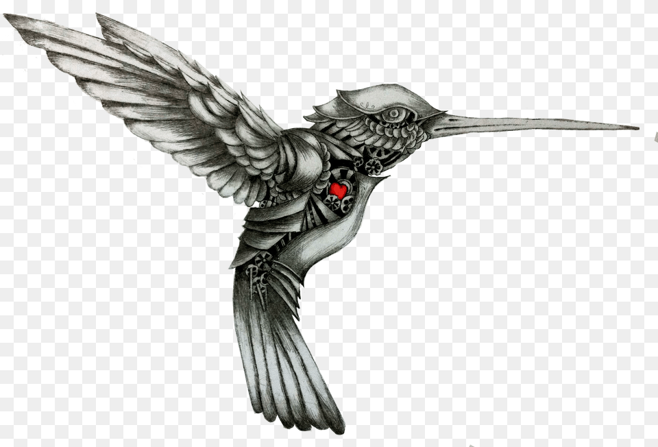 Hummingbird Drawing Tattoo Color Hummingbird Download Black And White Hummingbird Tattoo, Animal, Bird Png Image
