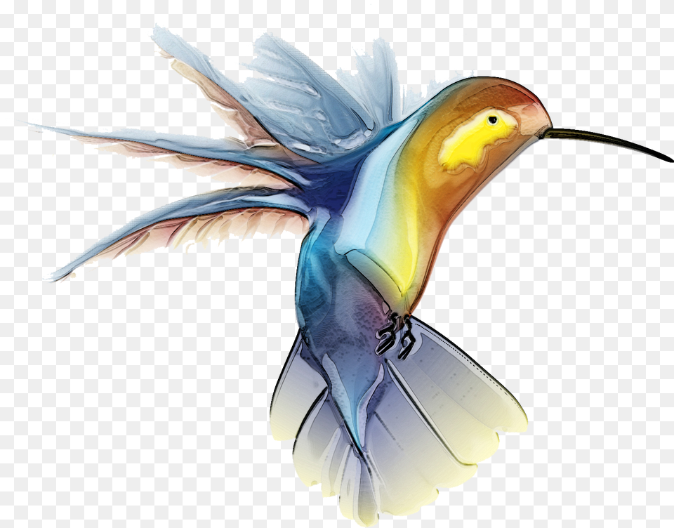 Hummingbird Free Hummingbird Clip Art, Animal, Bird, Flying, Beak Png Image