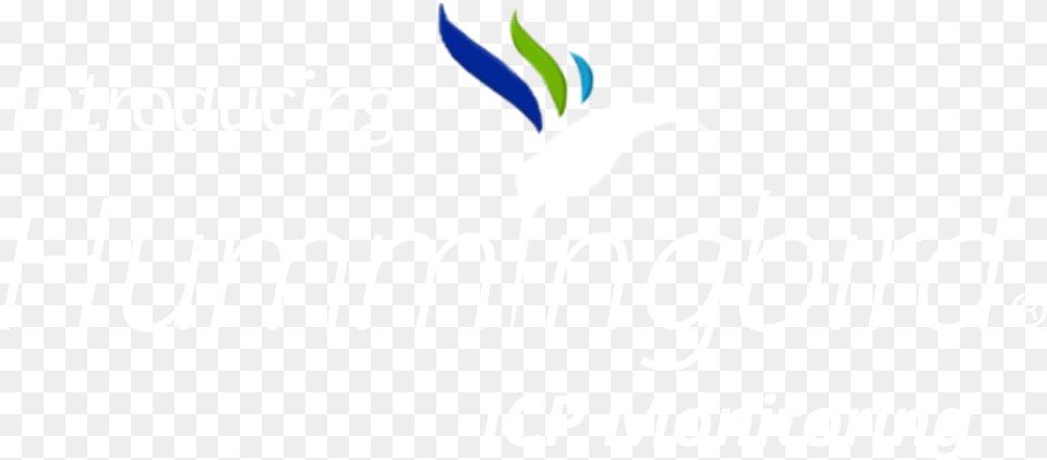 Hummingbird Icp Monitoring Graphic Design, Logo Png