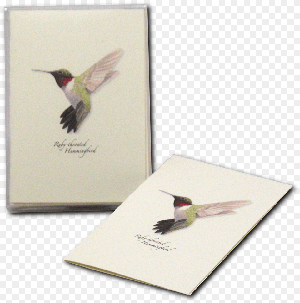 Hummingbird Illustration, Animal, Bird Png Image