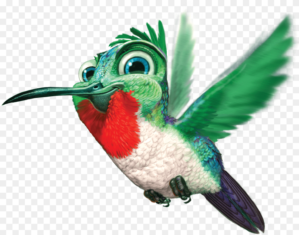 Hummingbird Image Hummingbird, Animal, Beak, Bird Free Png Download