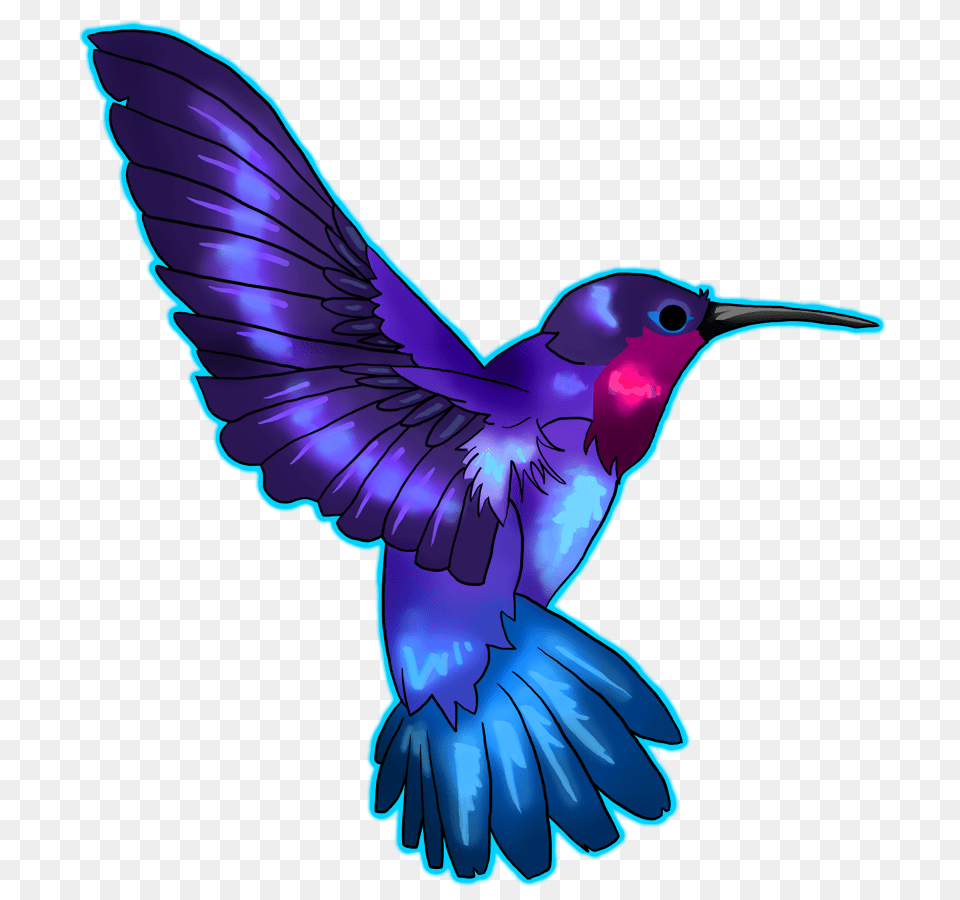 Hummingbird Images Free Download Blue And Purple Hummingbird, Animal, Bird, Adult, Female Png