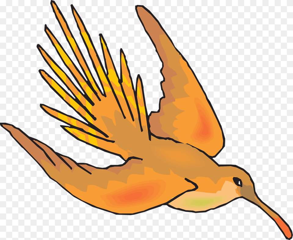 Hummingbird In Flight Clipart, Animal, Beak, Bird, Fish Free Png