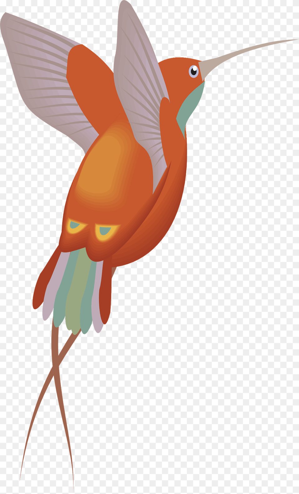 Hummingbird In Flight Clipart, Animal, Sea Life, Fish, Shark Png Image