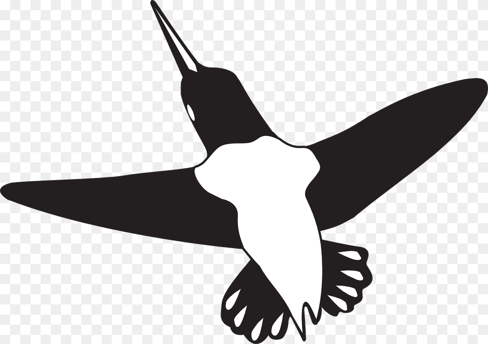 Hummingbird In Flight Clipart, Animal, Bird, Flying, Person Free Png Download