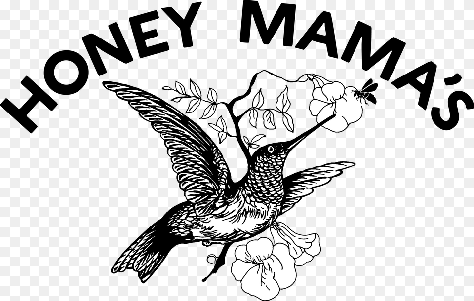 Hummingbird Logo Black On Light Background, Art, Drawing, Animal, Bird Png