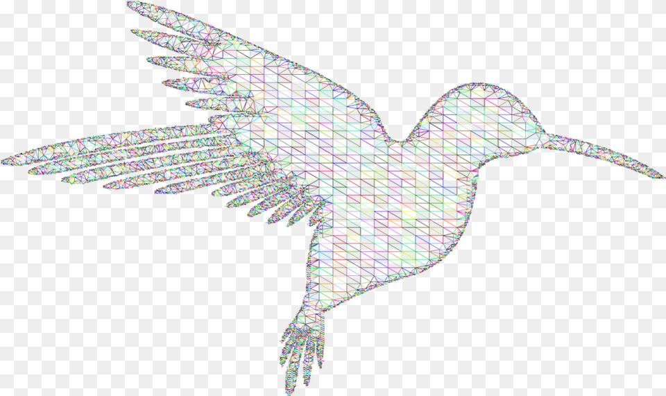 Hummingbird Low Poly Wireframe Vector Graphic On Pixabay, Accessories, Pattern, Animal, Bird Free Png Download