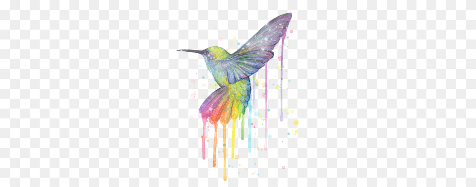Hummingbird Of Watercolor Rainbow, Purple, Animal, Bird, Art Free Transparent Png