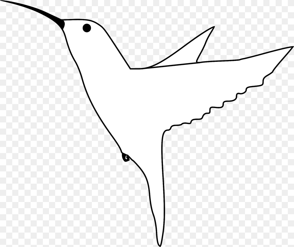 Hummingbird Outline Clipart, Animal, Bird, Fish, Sea Life Png Image
