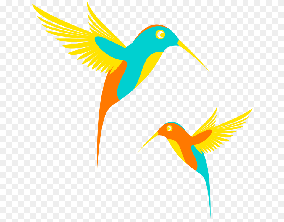 Hummingbird Passerine Computer Icons, Animal, Beak, Bird, Bee Eater Free Png Download