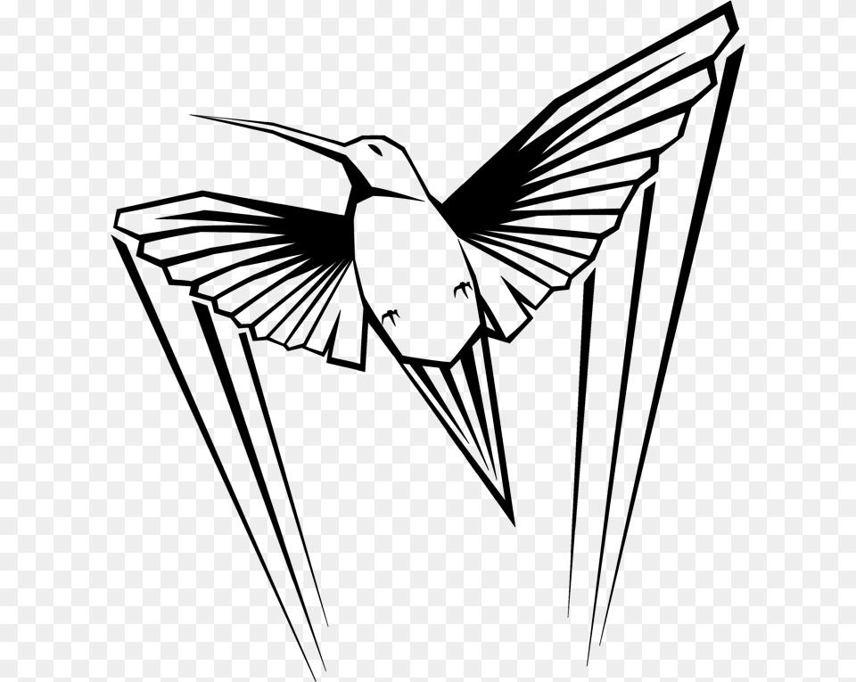 Hummingbird Pictures Clip Art, Animal, Bird, Flying, Fish Png Image