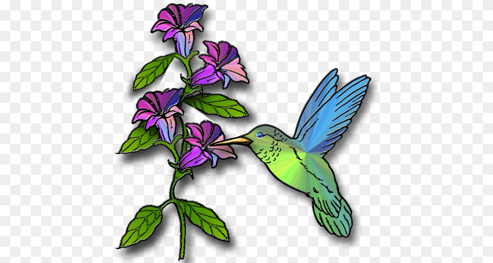 Hummingbird Pictures Clip Art, Animal, Flower, Plant, Bird Png Image