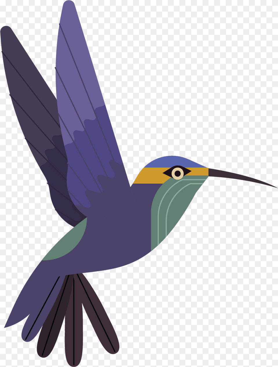 Hummingbird Portable Network Graphics, Animal, Bird, Flying, Beak Free Transparent Png