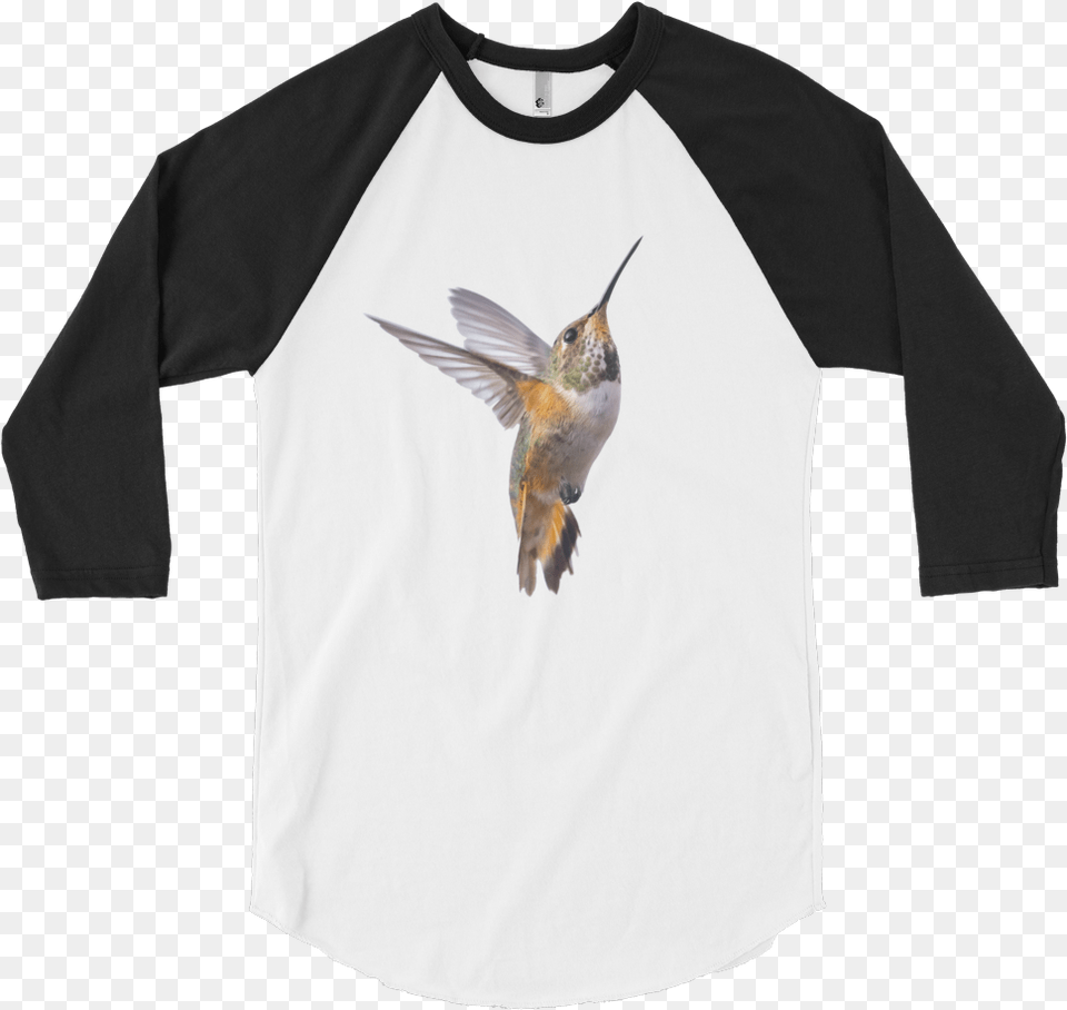 Hummingbird Print 34 Sleeve Raglan Shirt Endangeredanimalsco Raglan Sleeve, Animal, Bird, Clothing, Flying Free Png