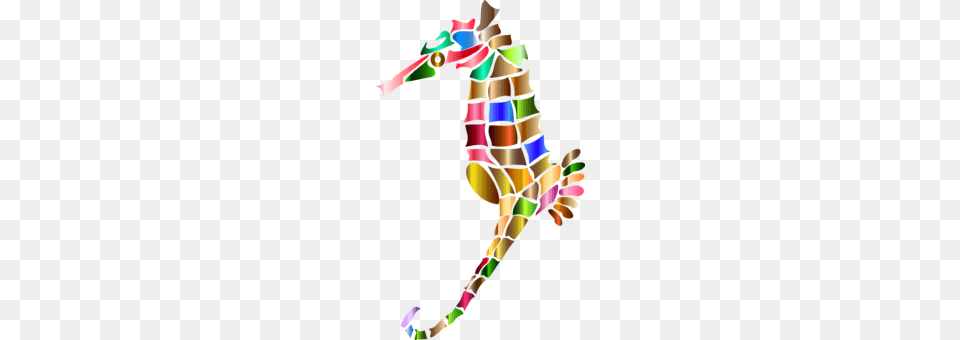 Hummingbird Seahorse Animal, Person, Toy Free Png Download