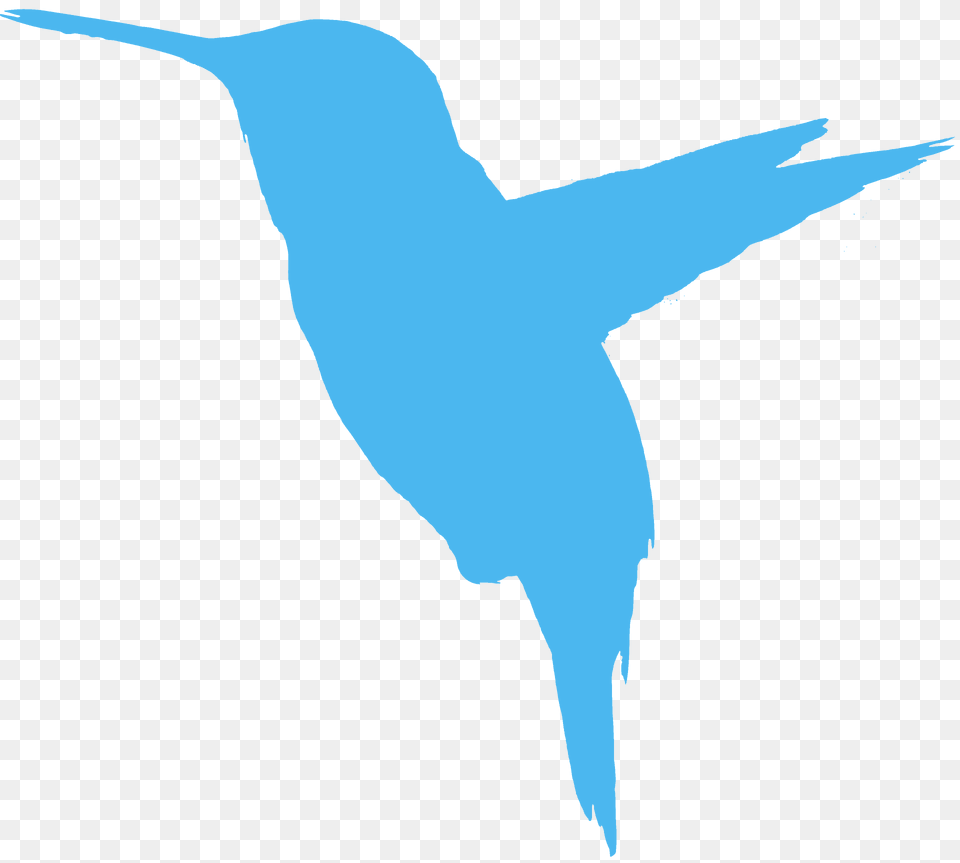 Hummingbird Silhouette, Animal, Bird Free Transparent Png