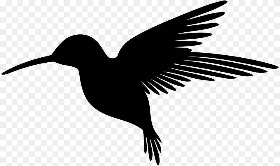 Hummingbird Silhouette, Animal, Bird, Flying, Beak Free Transparent Png