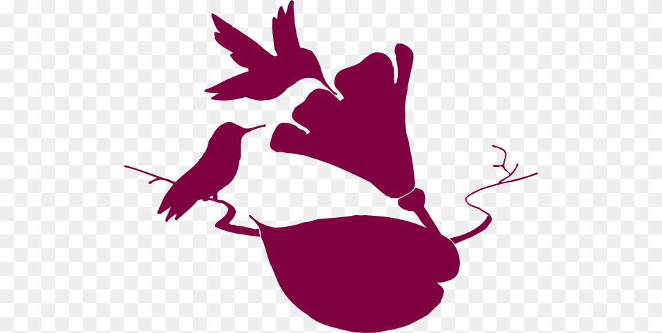 Hummingbird Size Modified Clip Arts Stencil, Animal, Bird, Silhouette Free Png Download