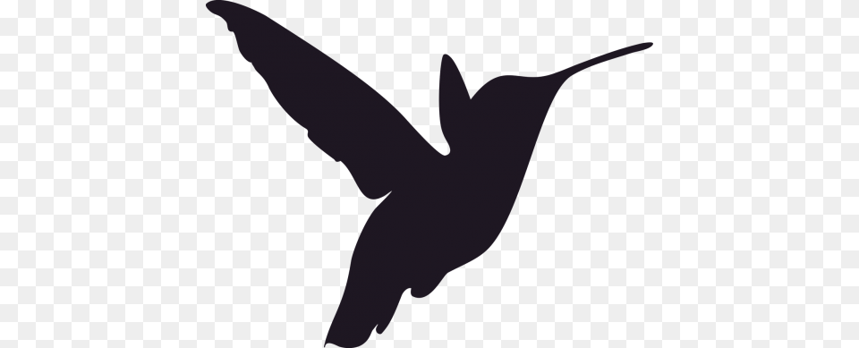 Hummingbird Stencil, Animal, Bird, Flying, Person Png Image