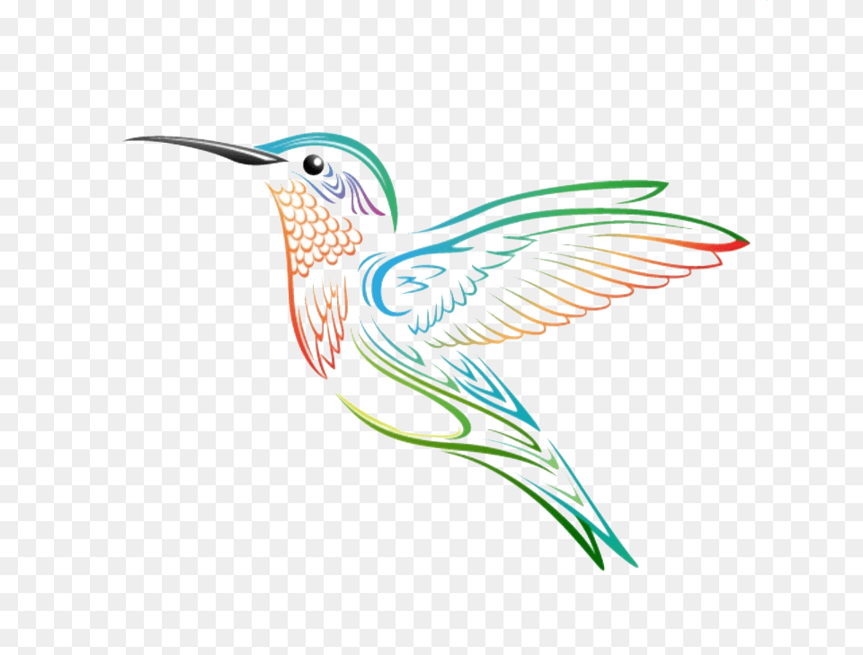 Hummingbird Tattoo, Animal, Bird, Beak Free Png