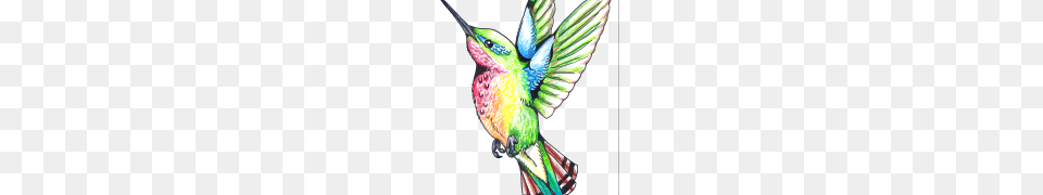 Hummingbird Tattoos Clipart, Animal, Bird, Person, Bee Eater Png Image
