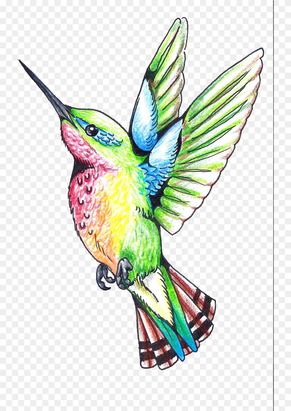 Hummingbird Tattoos Clipart Art Design Tattoo Color, Animal, Bird, Bee Eater Png Image