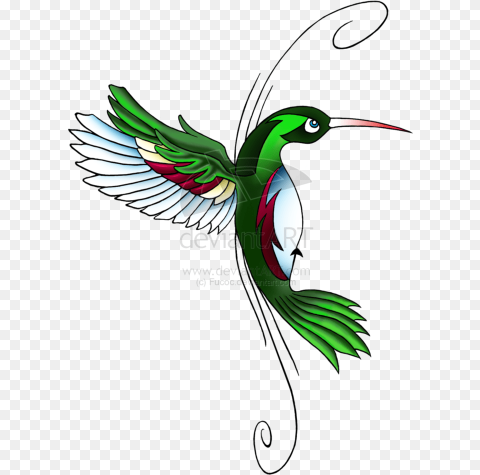 Hummingbird Tattoos Hummingbird Tattoo Designs, Animal, Bird Free Png Download