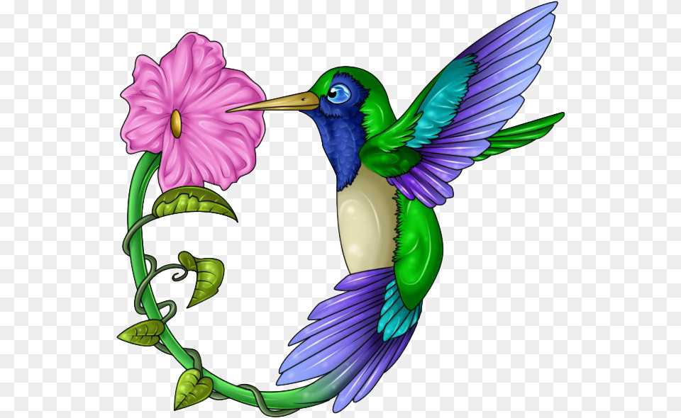 Hummingbird Tattoos Hummingbird And Flower Clipart, Animal, Bird, Plant Free Png